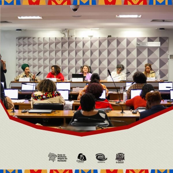 Lançamento do Fórum Levantes Negros pela Educação marca Audiência no Senado e reforça urgência de um Plano Nacional de…